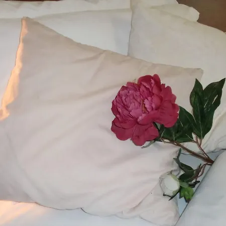 Riviera Hotel 3*